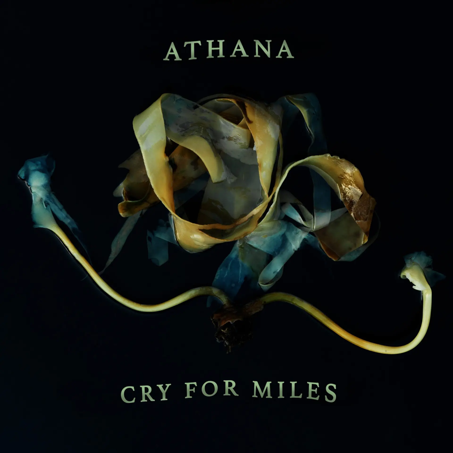 Cry for miles