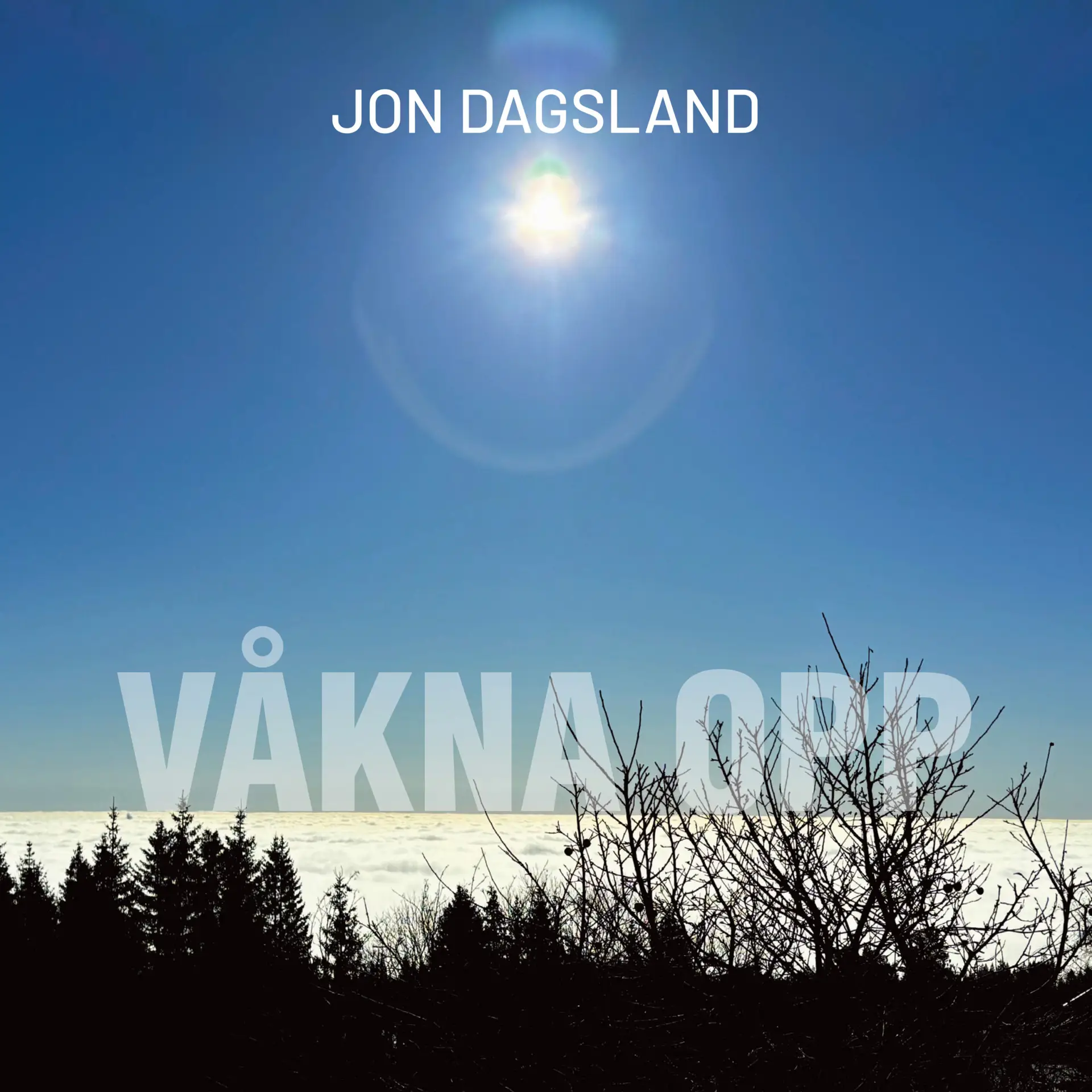 cd-cover-våkna opp