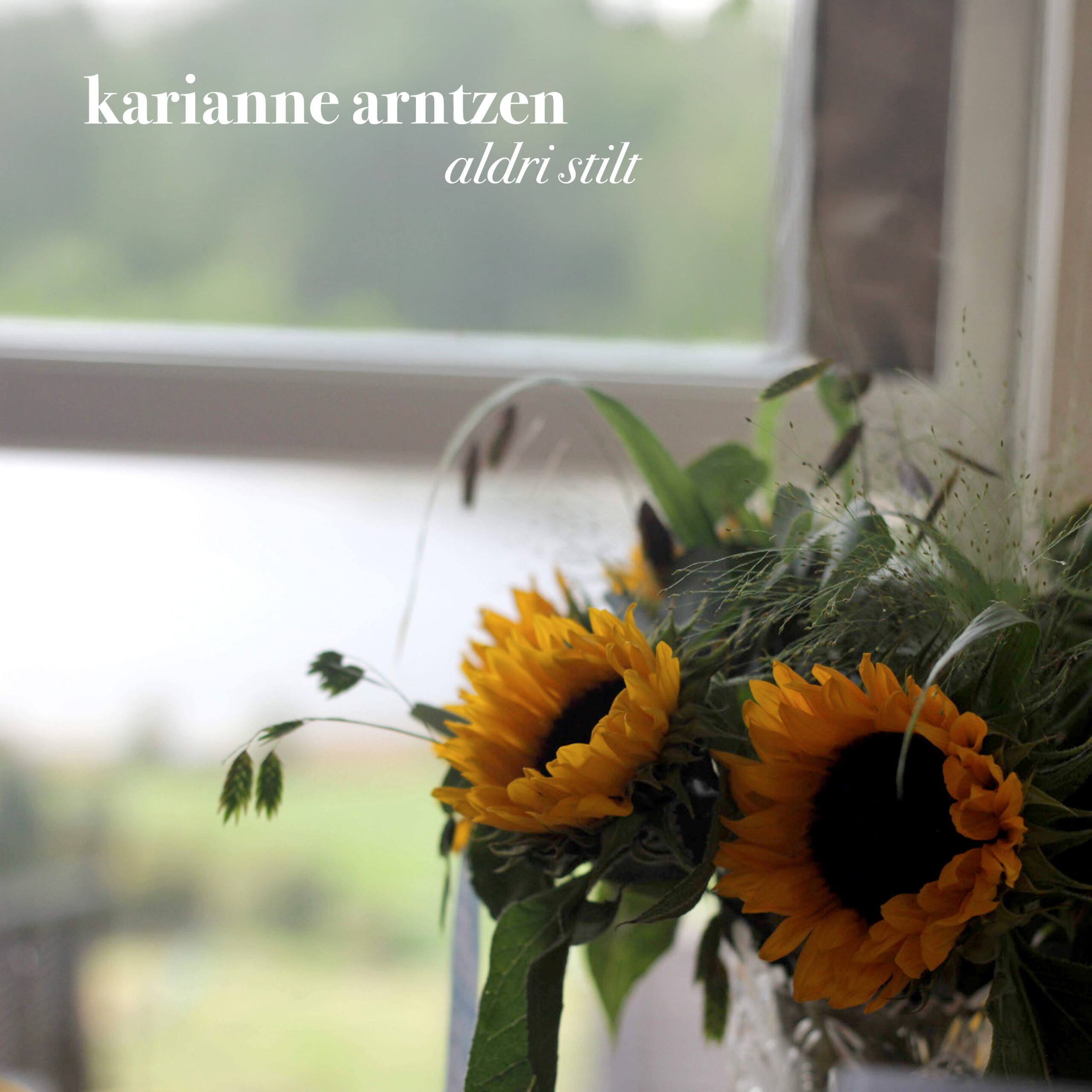 Karianne Arntzen cover_Aldri stilt