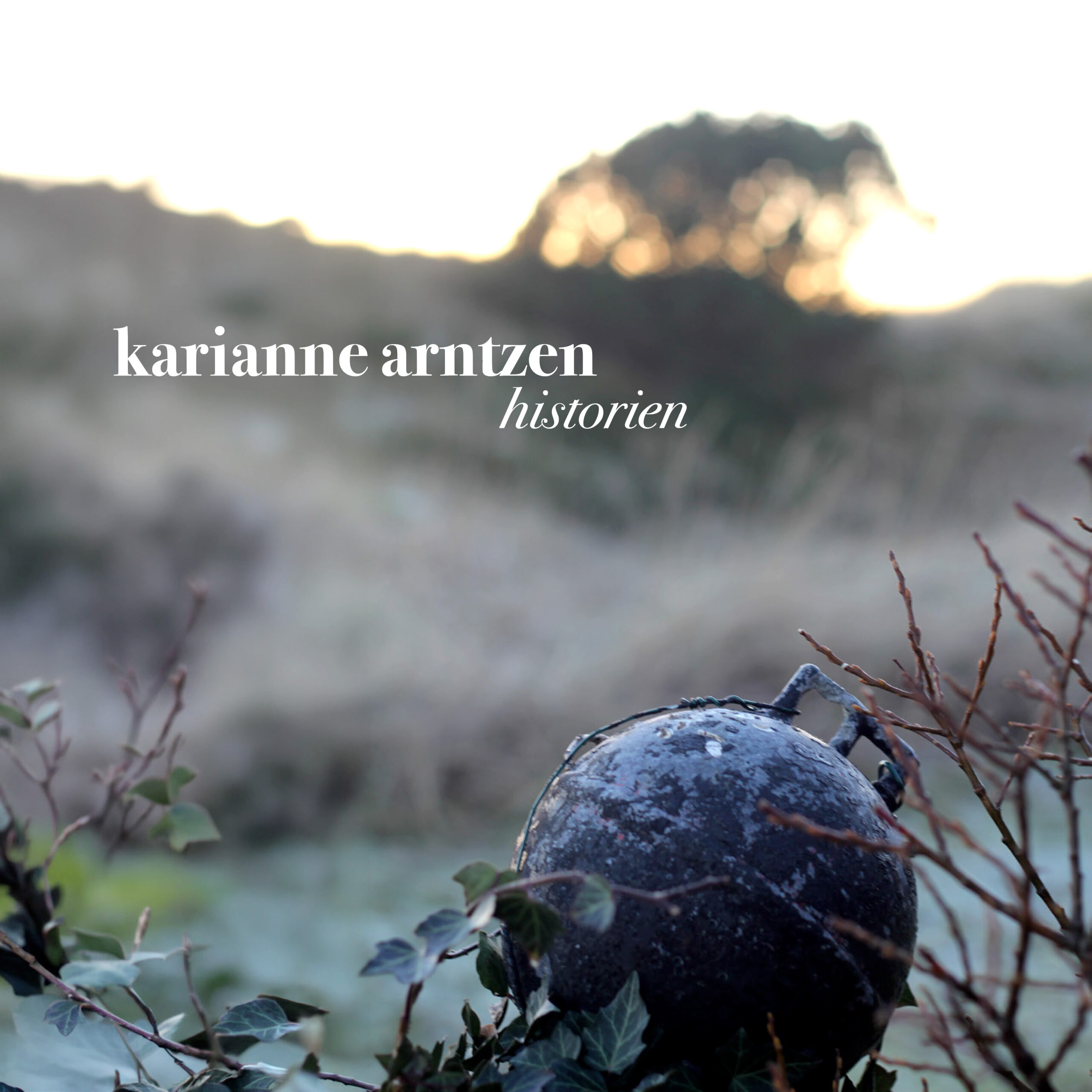 Karianne Arntzen cover_Historien